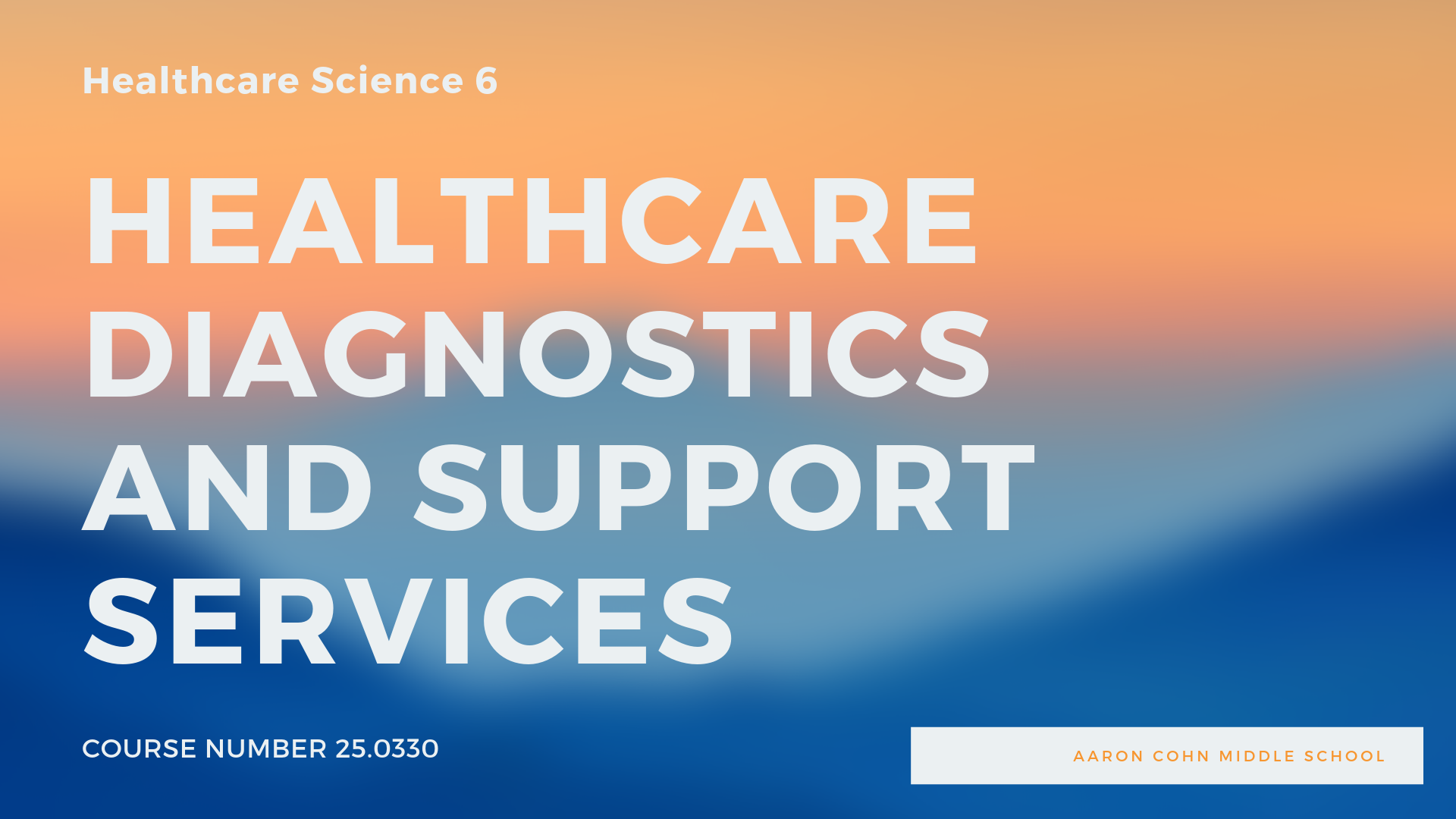 Healthcare Diagnostic and Support Services.png